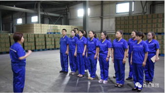 西王食品公司物管部 物流综合部扎实做好旺季产品发货工作